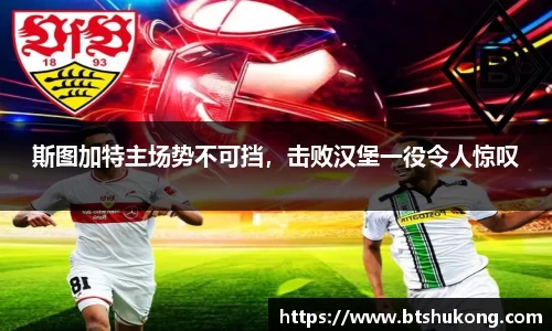 bsports官网入口