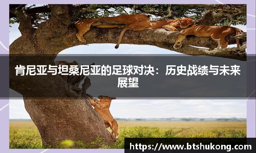 肯尼亚与坦桑尼亚的足球对决：历史战绩与未来展望