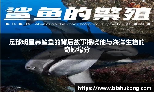 足球明星养鲨鱼的背后故事揭晓他与海洋生物的奇妙缘分